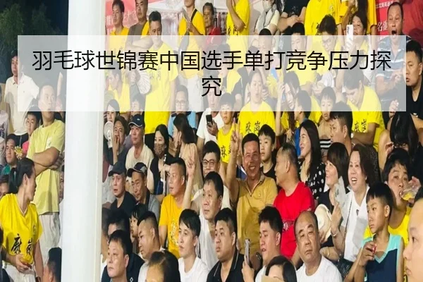 羽毛球世锦赛中国选手单打竞争压力探究